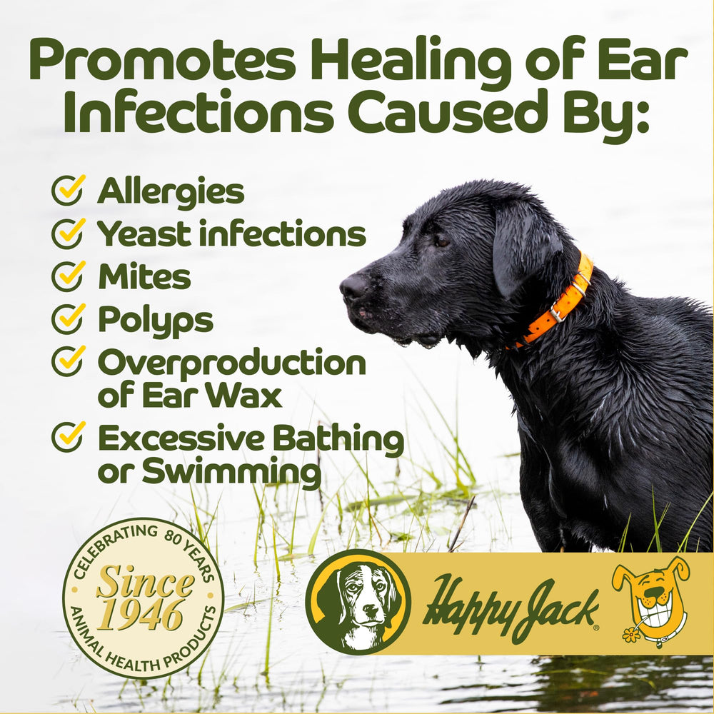 Application facile de la poudre HAPPY JACK sur l'oreille.