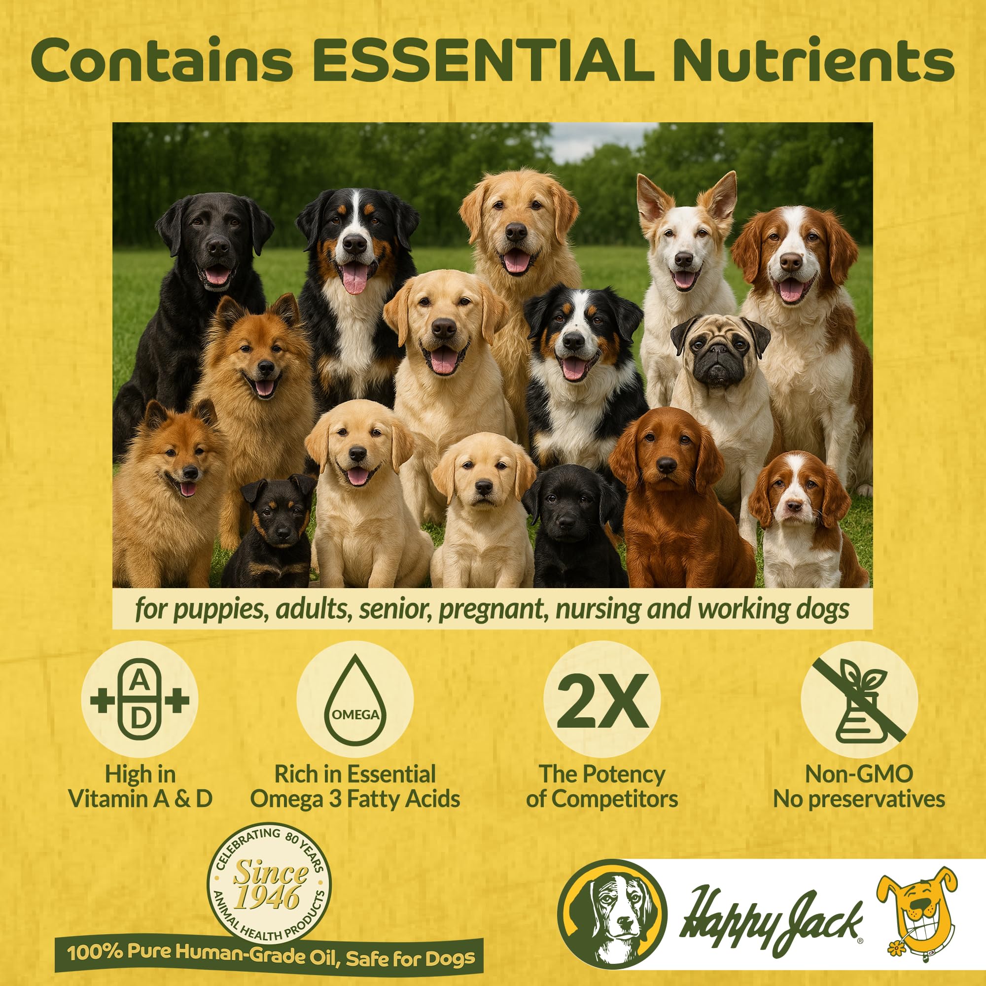 Happy Jack huile foie morue – qualité humaine rigoureusement testée pour chiens.