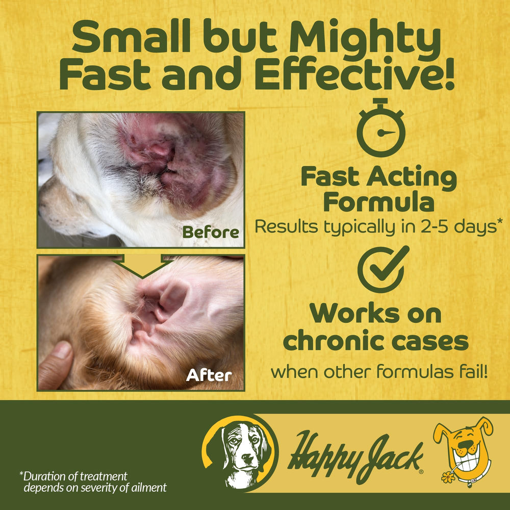 Oreille de chien traitée avec HAPPY JACK lors d'une infection.