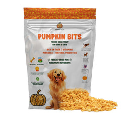 Friandise Happy Olly citrouille pour chiens morceaux seches et appétissants