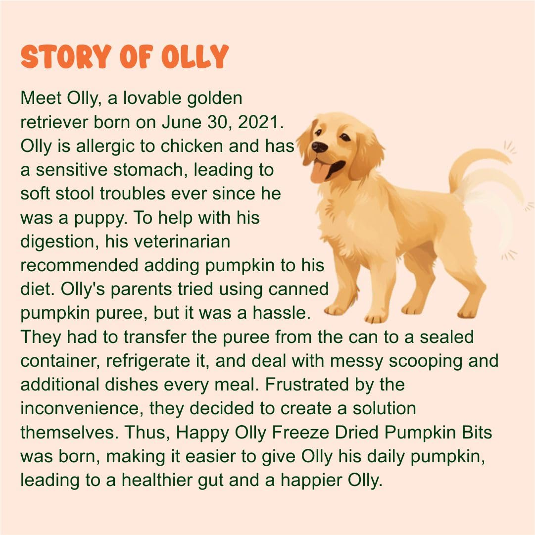 Sans additifs Friandise citrouille Happy Olly pour chiens