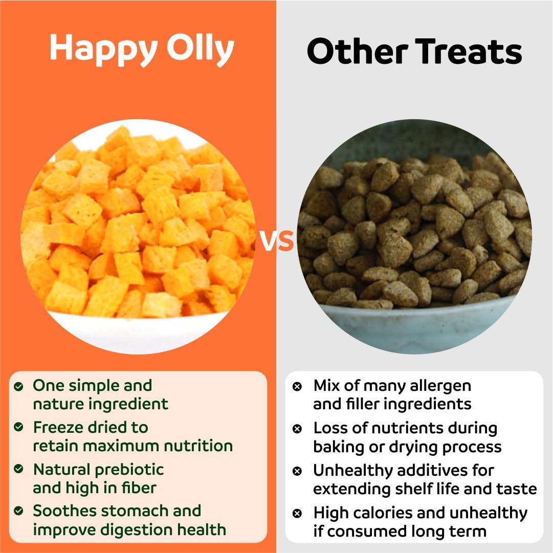 Friandise végétalienne sans gluten et sans céréales Happy Olly pour chiens