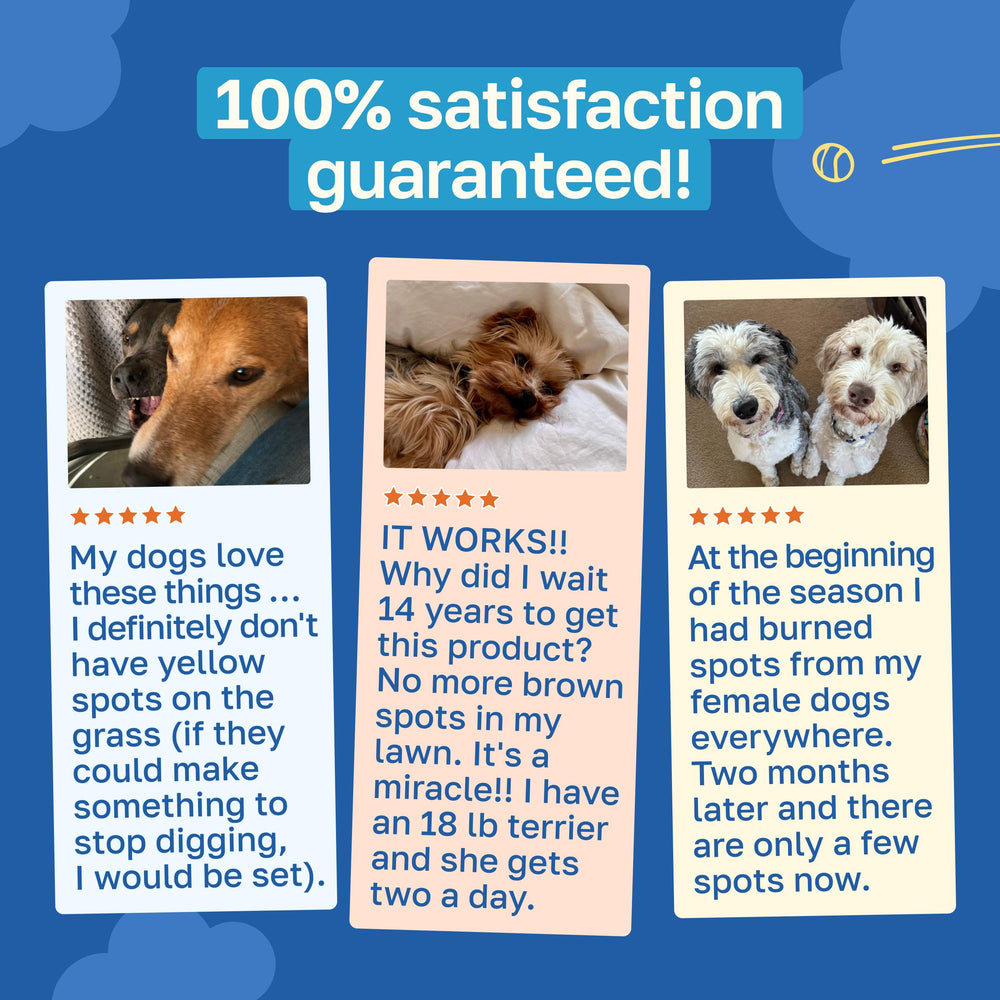 Happy Paws Lawn Saver: saveur poulet-vegan appréciée par les chiens.