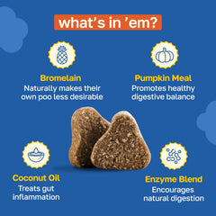 Happy Paws No Poo Chews – probiotiques digestifs pour soutien intestinal