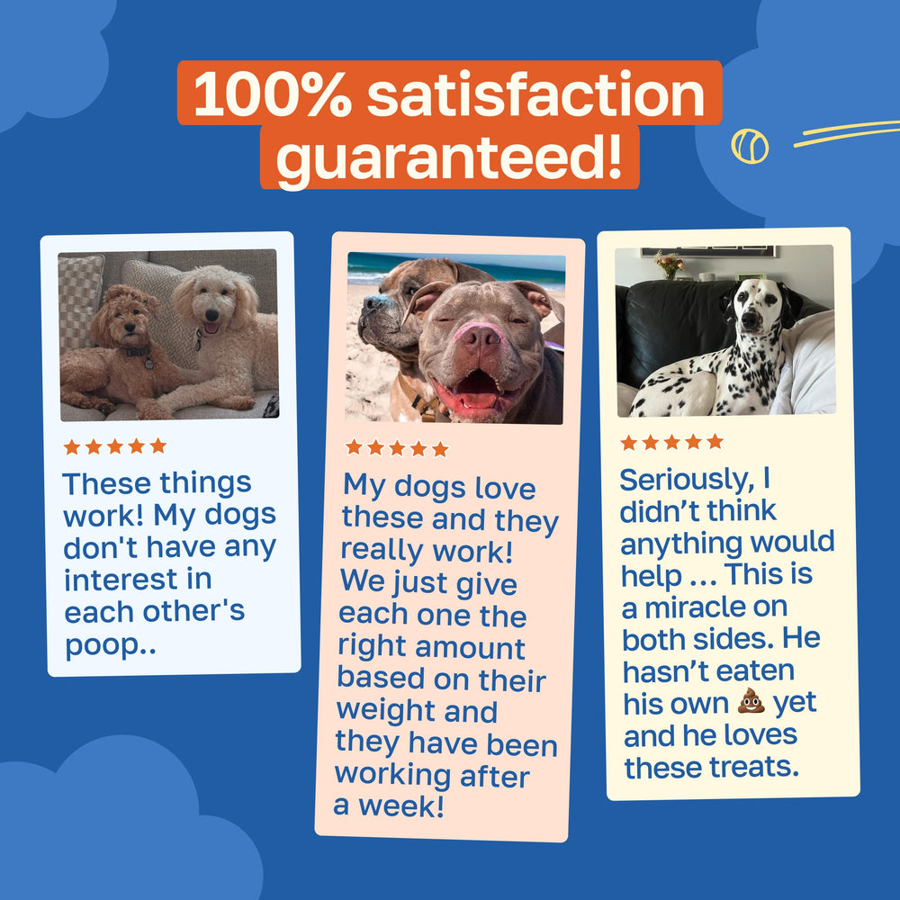 Happy Paws No Poo Chews – saveur boeuf appétissante et agréable
