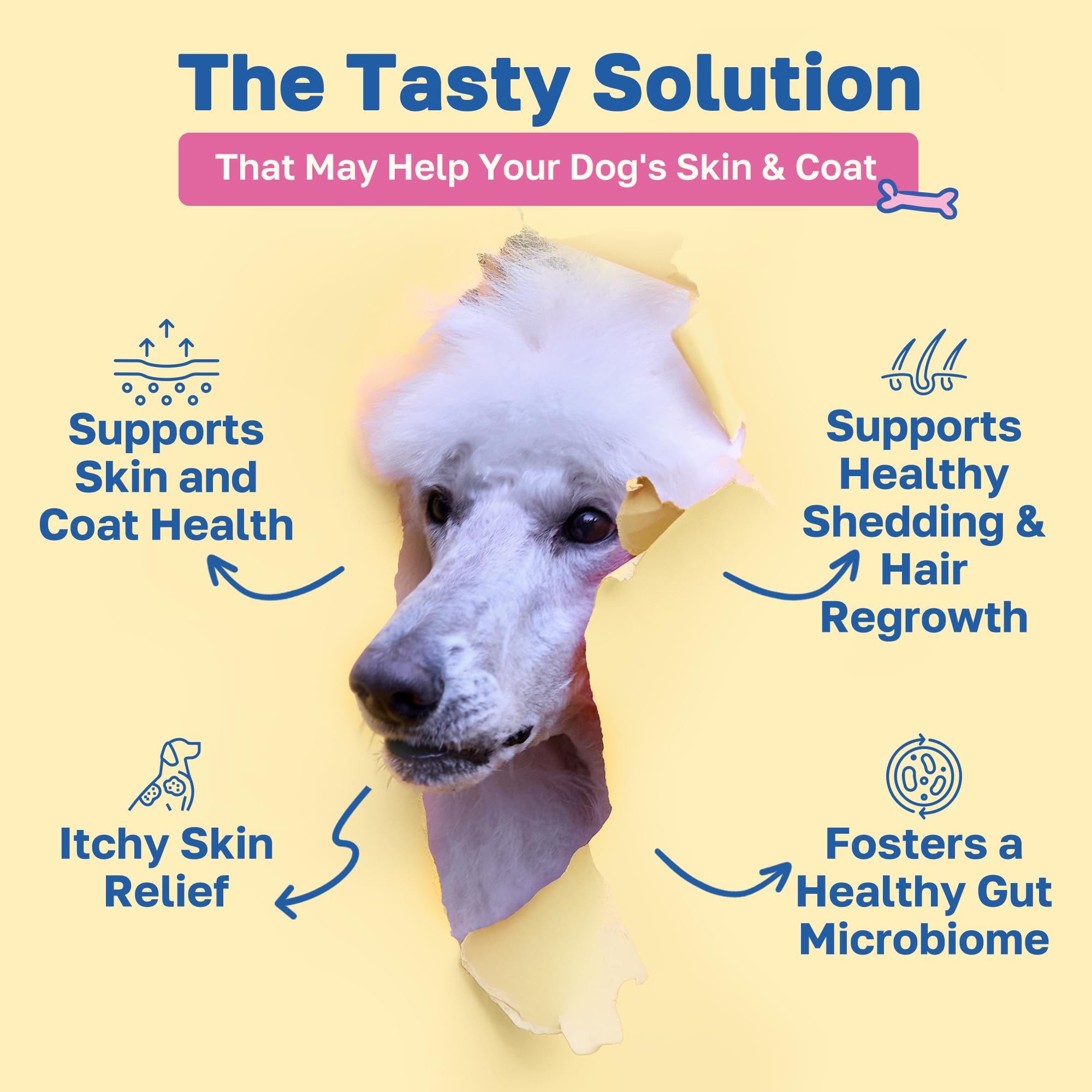 Happy Paws bouchées pour poil brillant et peau saine