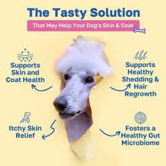 Happy Paws bouchées pour poil brillant et peau saine