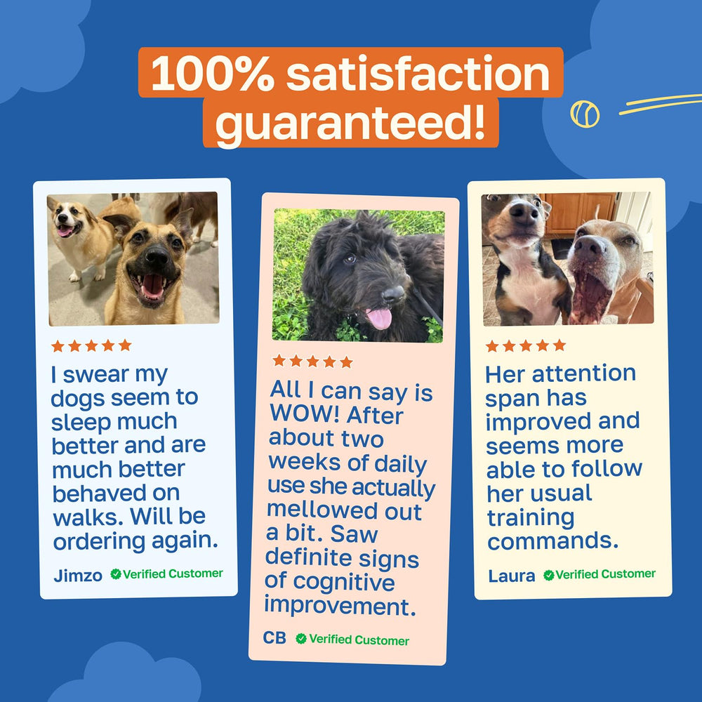 Happy Paws vitamines B1 B3 B12, soutien nutritionnel quotidien.