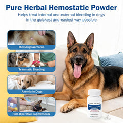Happy Saffron Plus : capsules Ajuga Forrestii, amélioration possible des parois vasculaires chez le chien.