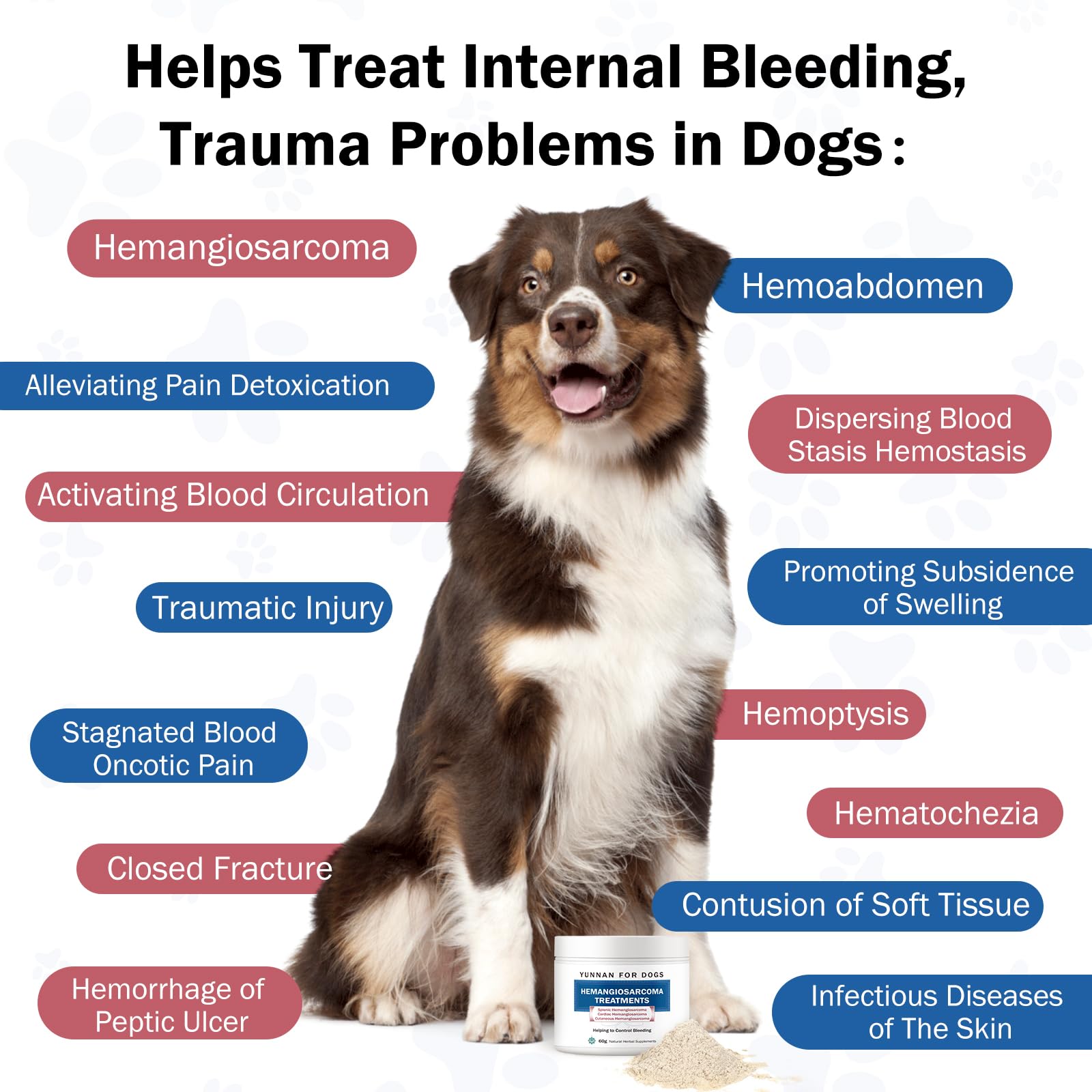 Doseur Happy Saffron Plus Blood Support Poudre, dosage précis pour chiens.