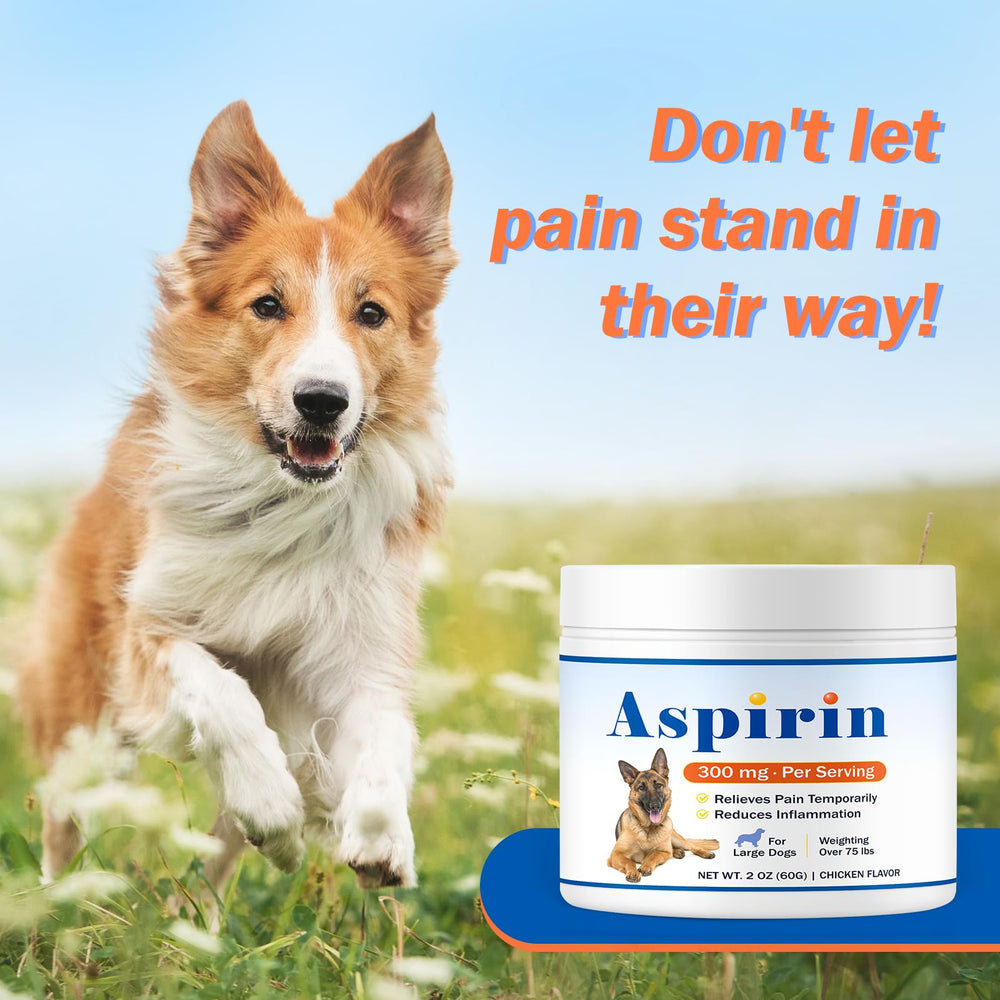 Happy Saffron Plus – mélange pratique pour moments où les chiens restent actifs.