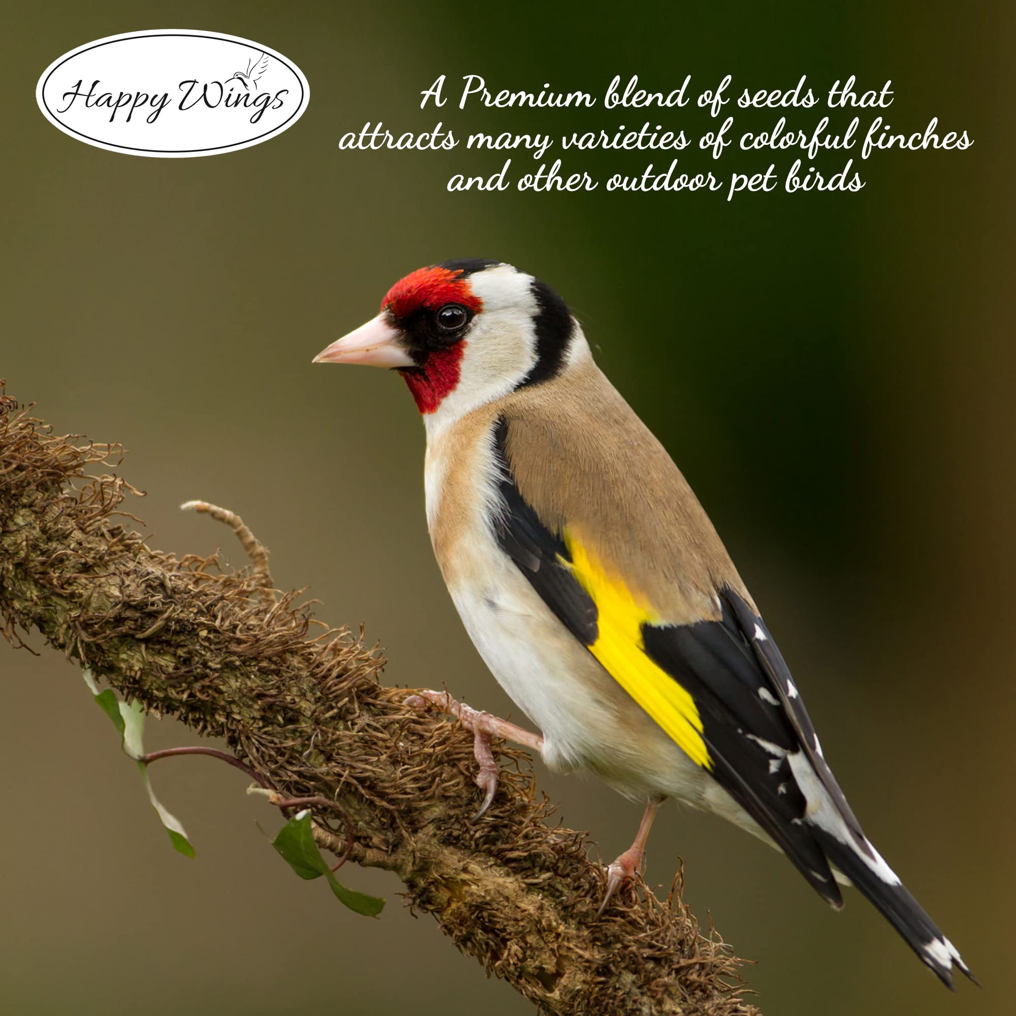 Happy Wings Finch Blend les passereaux trouvent facilement leur repas dans le jardin.