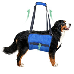 HAPPYHAO harnais levage chien ajusté pour lever et monter facilement.