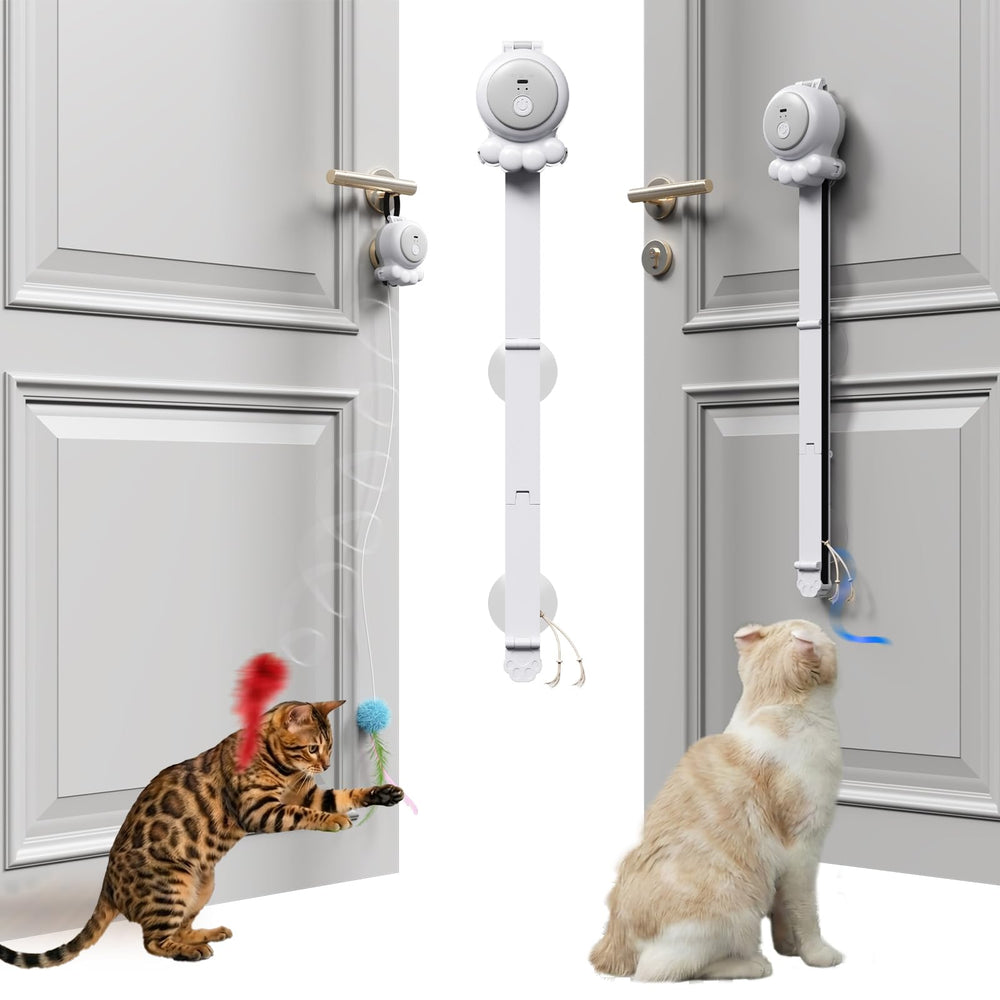 HAPPYCODE 2-en-1 baton electrique rechargeable pour divertir votre chat