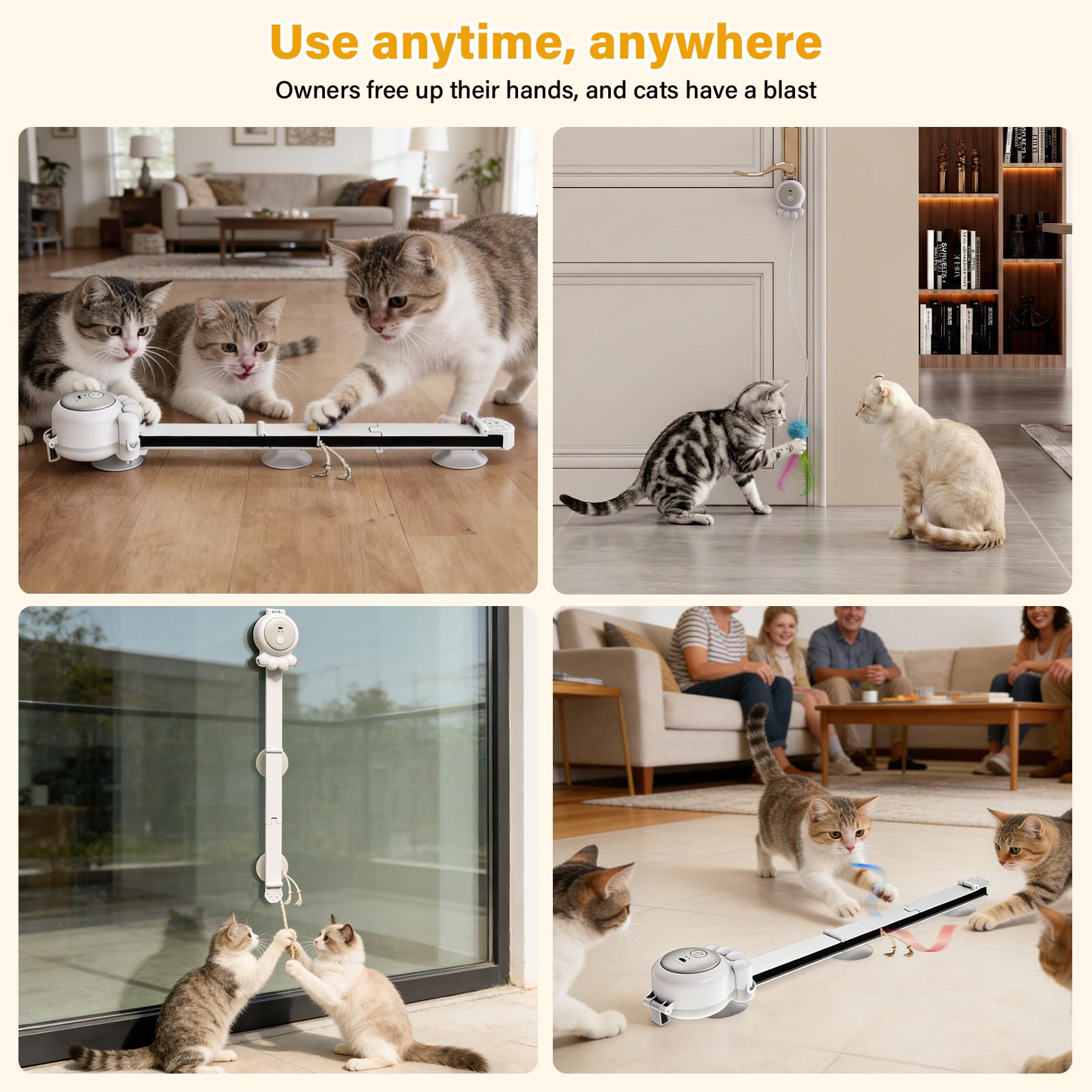 HAPPYCODE jouet intérieur idéal pour chats adultes et chatons actifs