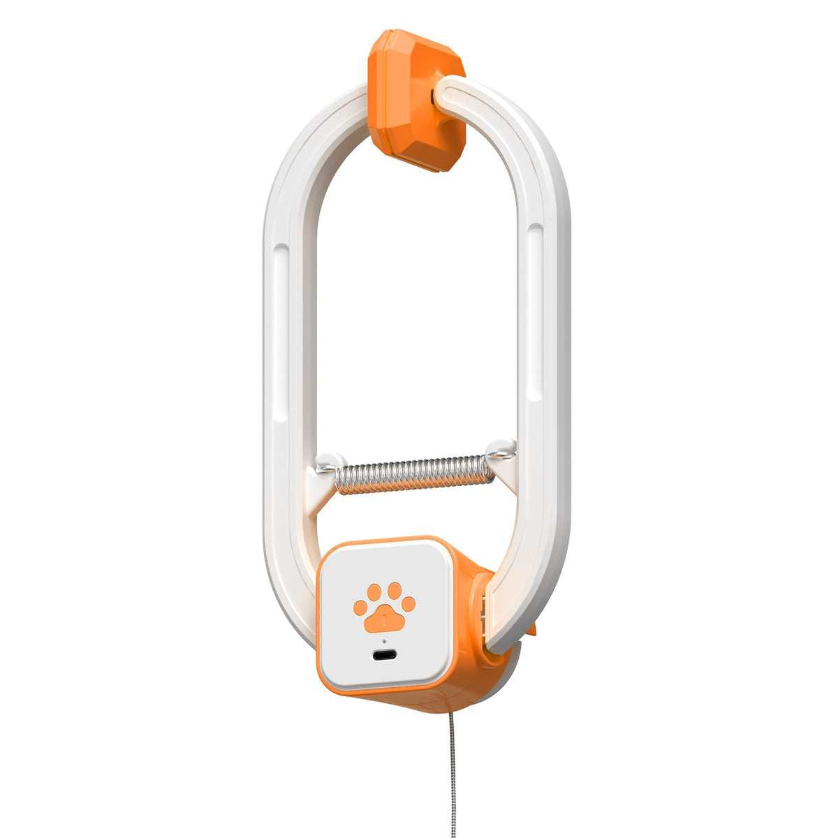 HAPPYCODE teaser-chat-electrique-rechargeable avec clip-porte, jeu pratique en tout lieu.