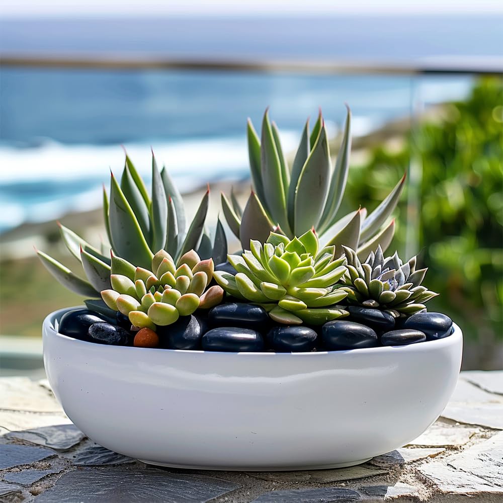 HappyFiller cailloux noirs polis pour succulentes, drainage et aération du substrat.