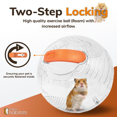 Happy Habitats exercice dynamique favorise curiosité et mouvement sain chez petits animaux.