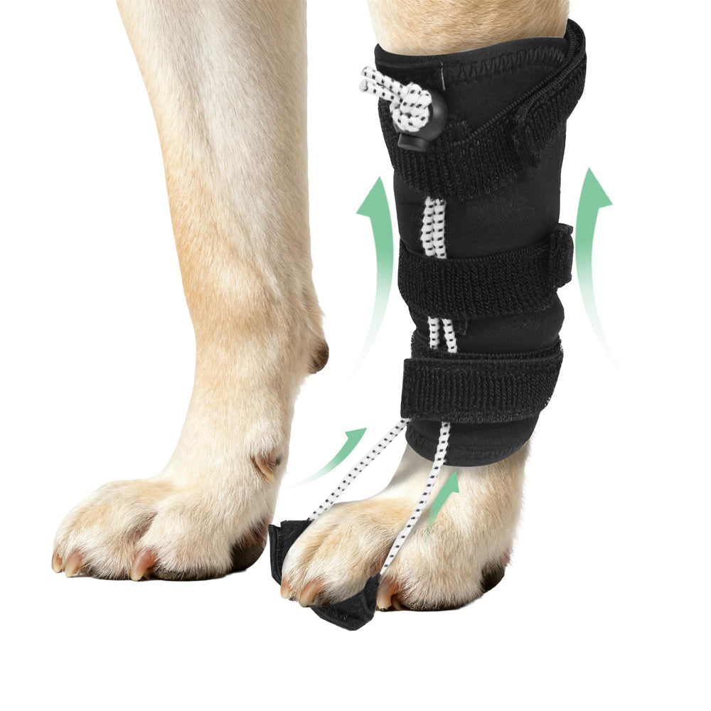 Attelle HAPPYHAO pour patte arrière sur chien, soutien lié au traînage et stabilité