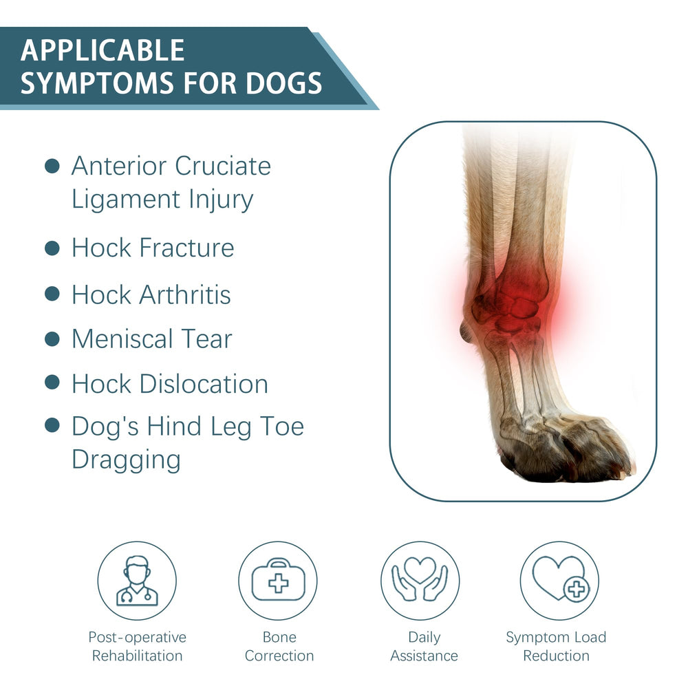 Attelle HAPPYHAO avec support ajustable pour patte arrière du chien