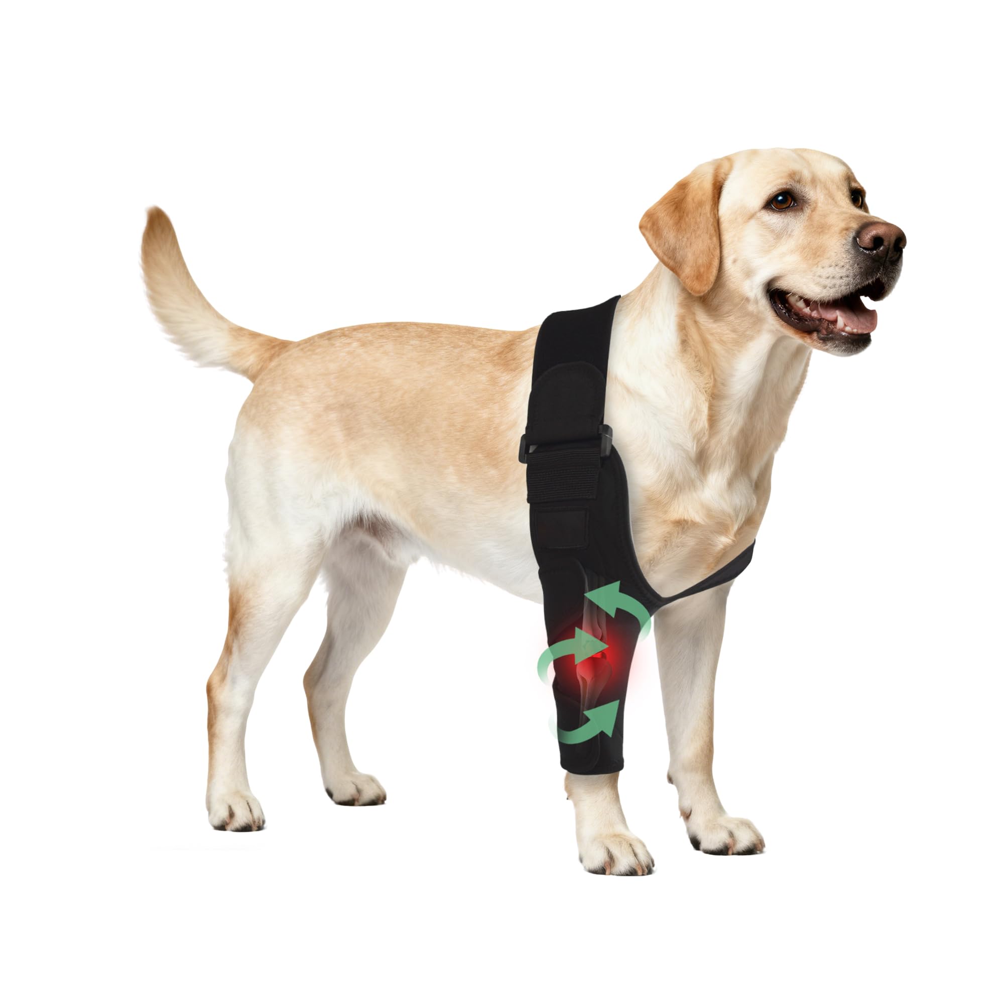 Attelle HAPPYHAO pour chien offrant un soutien épaule et coude, stabilité accrue.