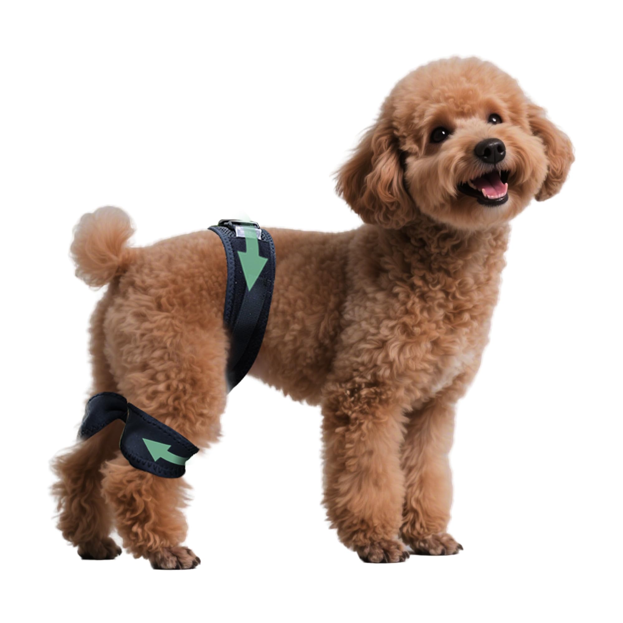 Attelle HAPPYHAO pour hanche de chien ajustable offrant un soutien précis et durable.
