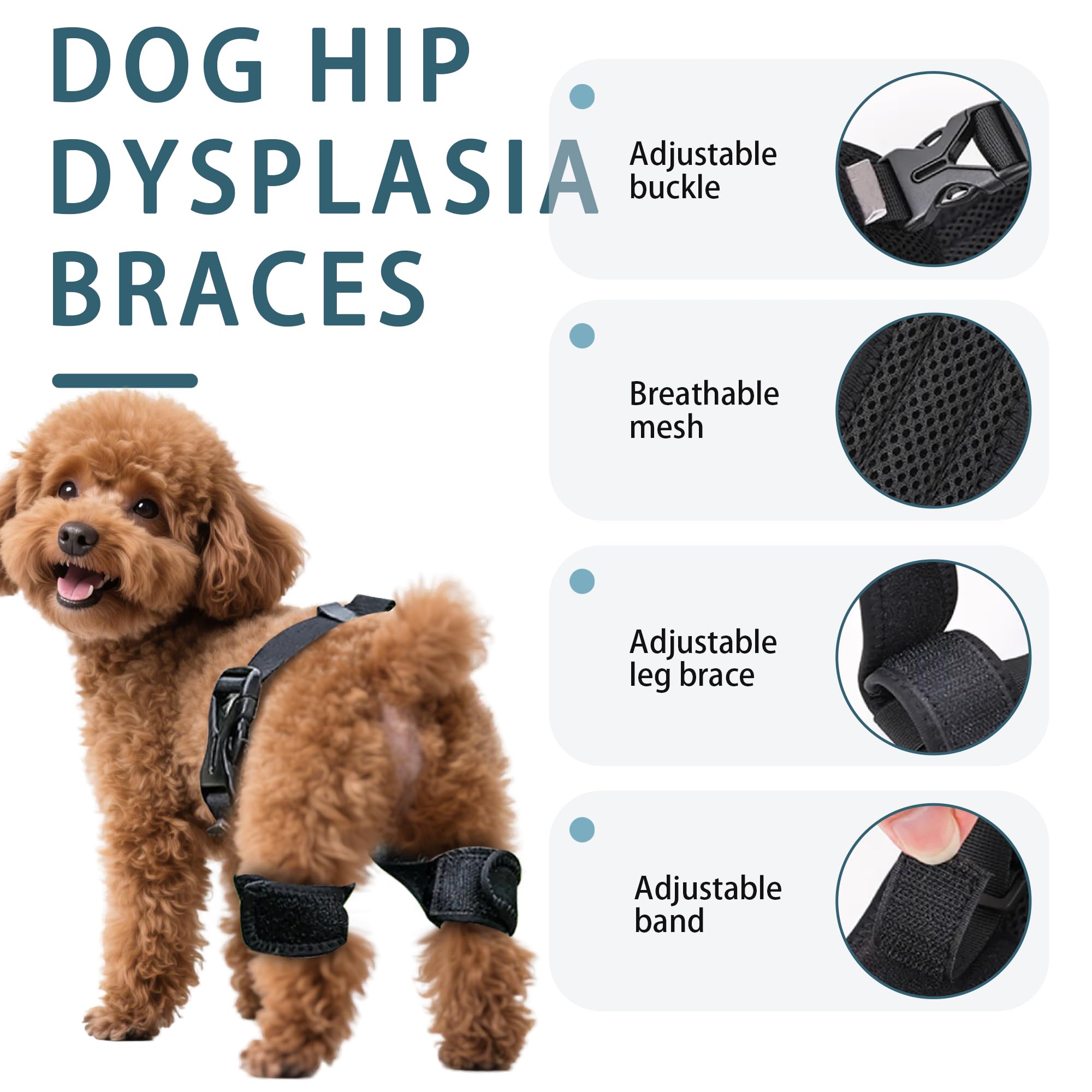 Attelle HAPPYHAO pour hanche de chien ergonomique aidant à une foulée plus stable.