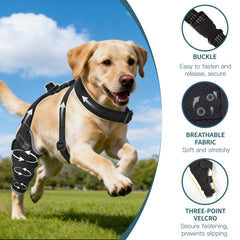 HappyHao bandes-velcro-genou-chien maintien sûr et ajustable.