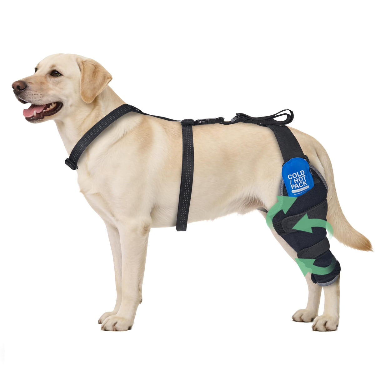 HAPPYHAO orthèse de genou pour chien arrière gauche, soutien stable