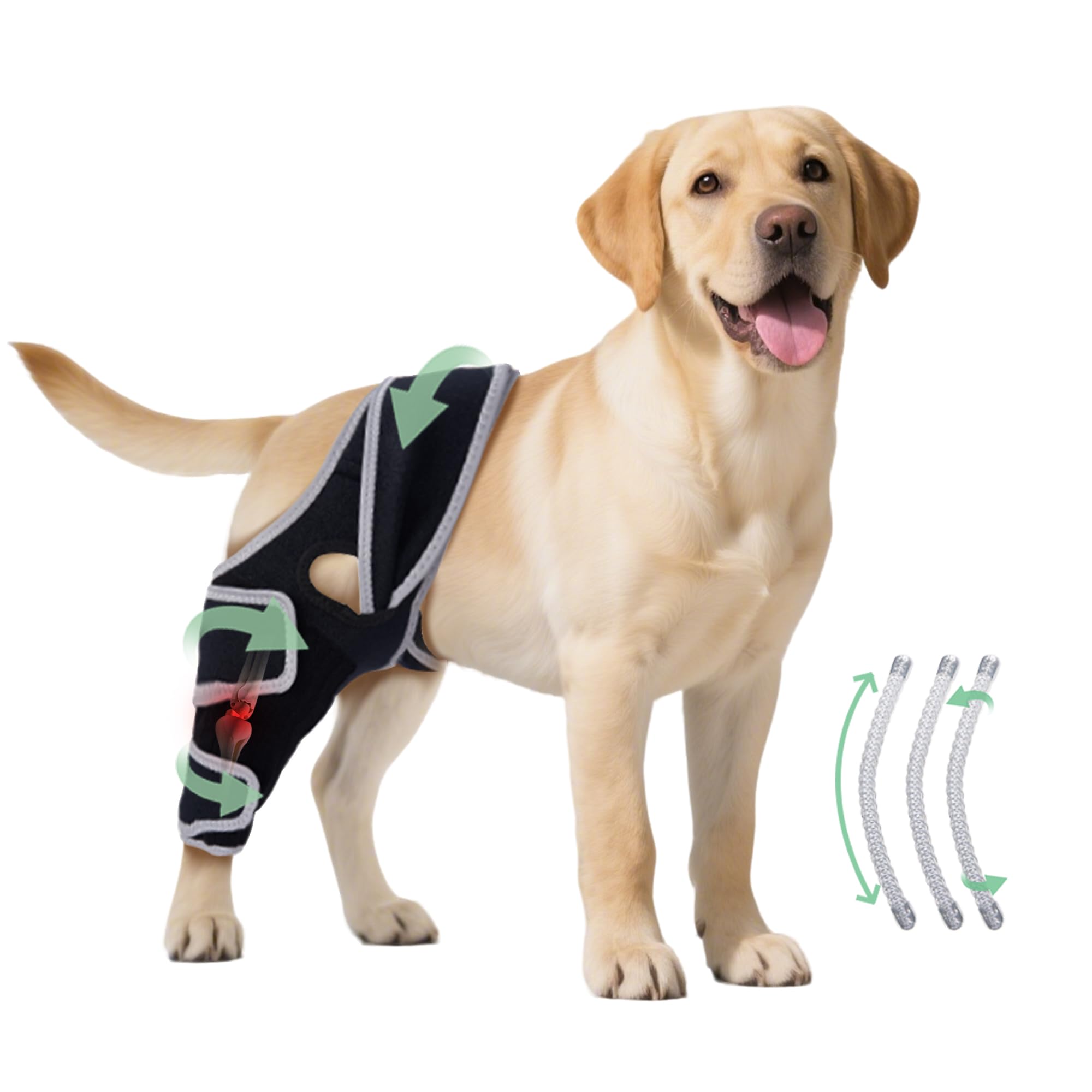Genou du chien avec bande universelle HAPPYHAO pour quatre pattes, maintien sûr