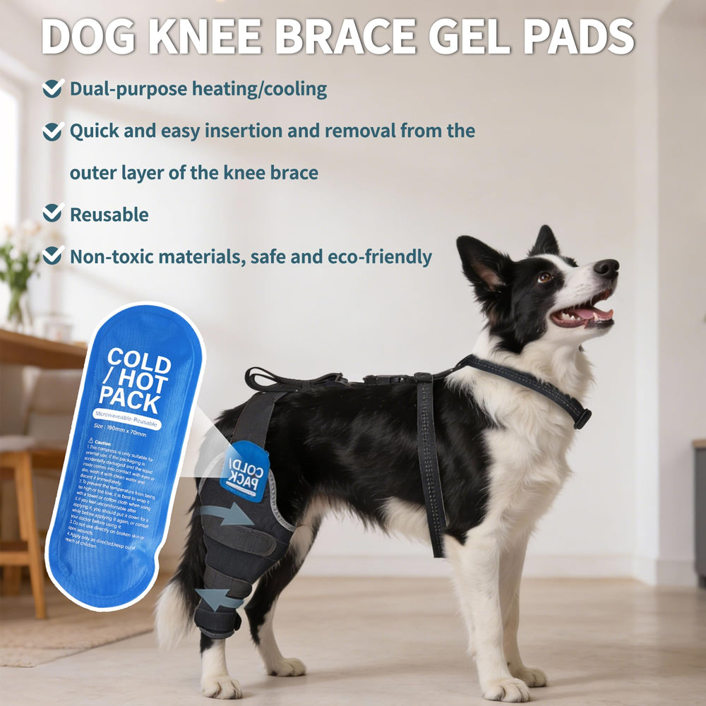 HAPPYHAO guide taillage genou chien — mesure précise pour un ajustement parfait.