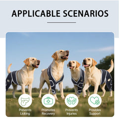Materiau perforé 1,5 mm HAPPYHAO genou chien pour respiration