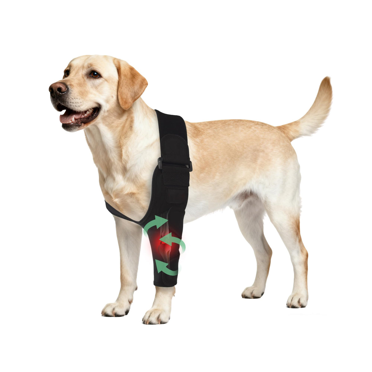 HAPPYHAO orthèse coude chien ajustable gauche XL pour soutien mobilité.
