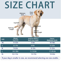 6 renforts internes HAPPYHAO soutiennent l articulation du chien