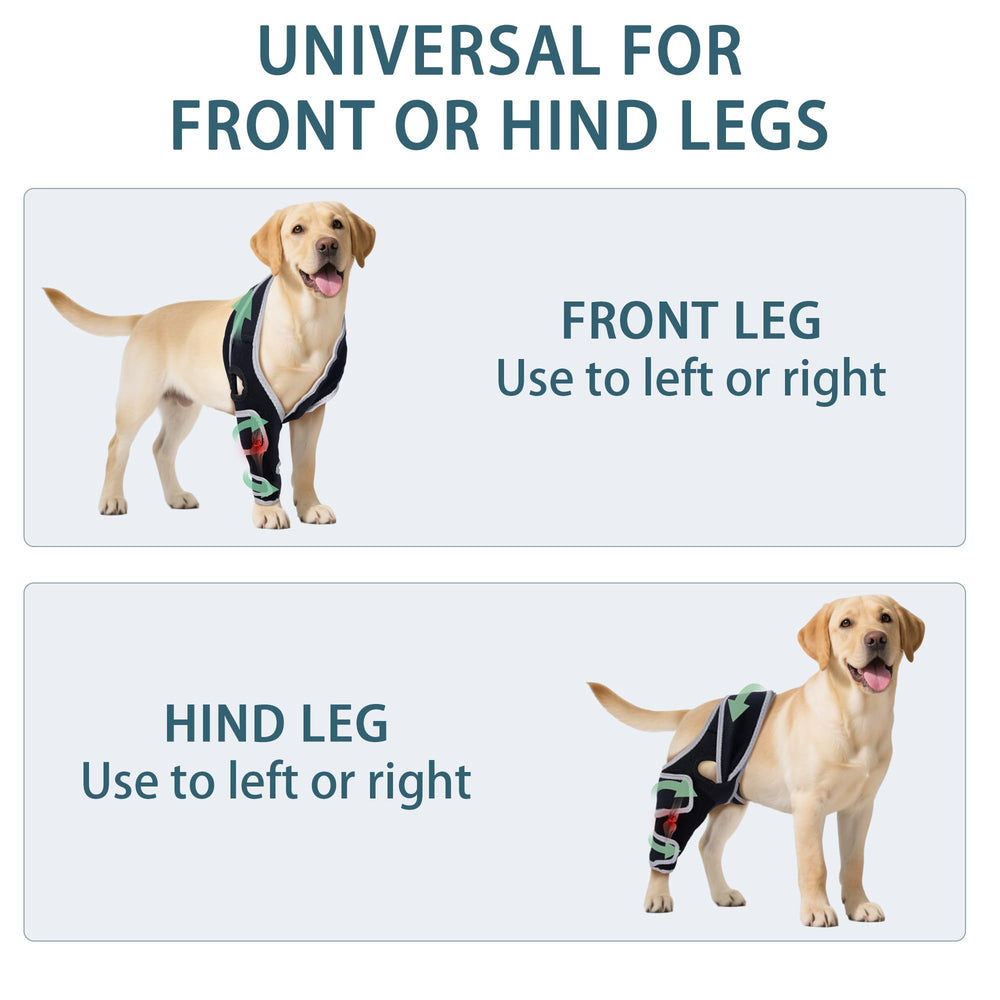 Guide tailles HAPPYHAO pour trouver la bonne taille genou chien