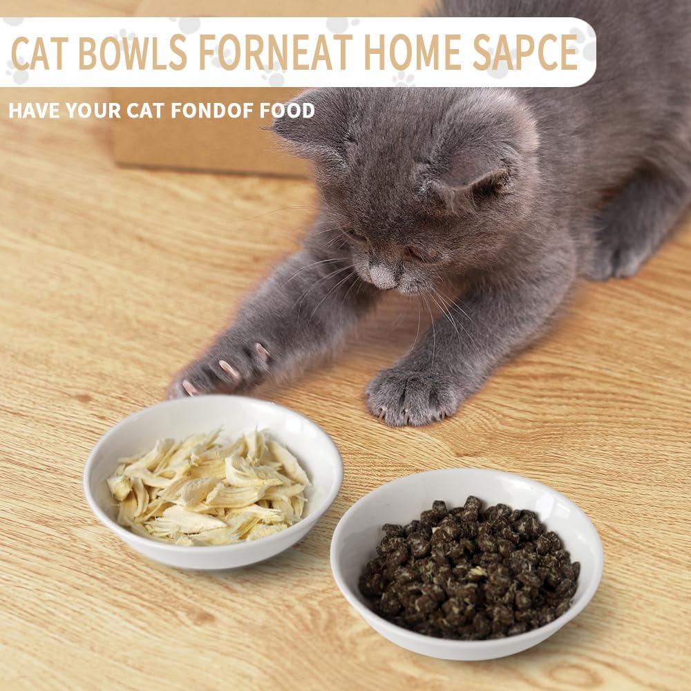 HAPPY KIT bol chat céramique sans plomb – matériau sûr pour chats