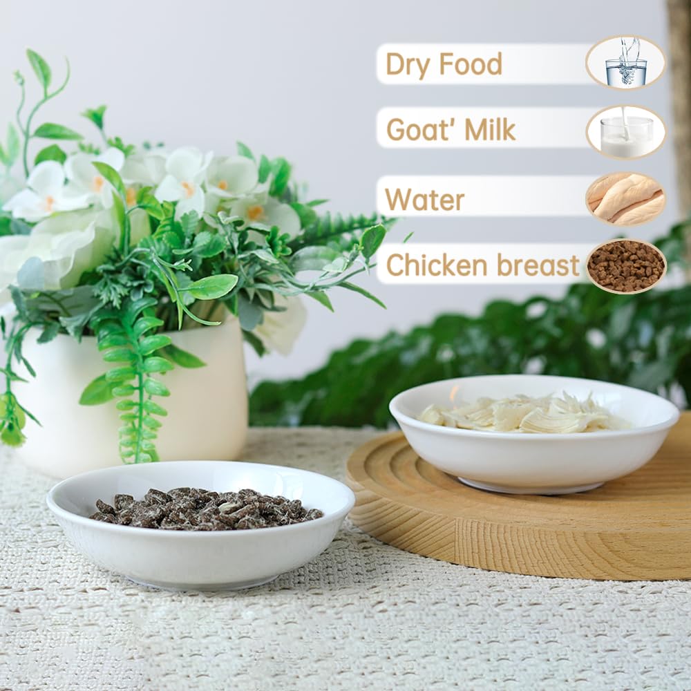 HAPPY KIT bol chat diametre 5 pouces – parfait pour chatons