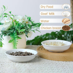 HAPPY KIT bol chat diametre 5 pouces – parfait pour chatons