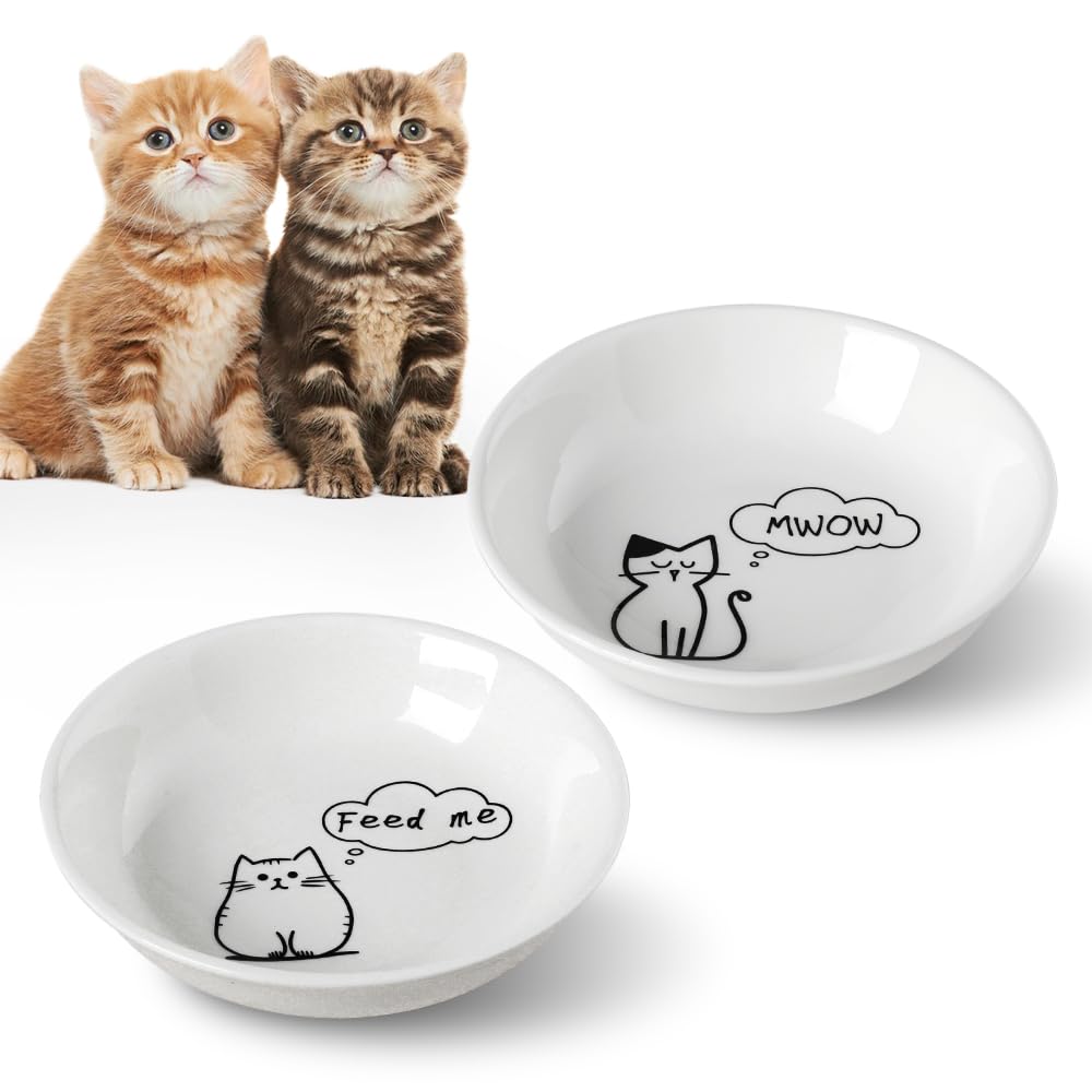 HAPPY KIT bols chats 2 pièces – ensemble coloré pour repas joyeux