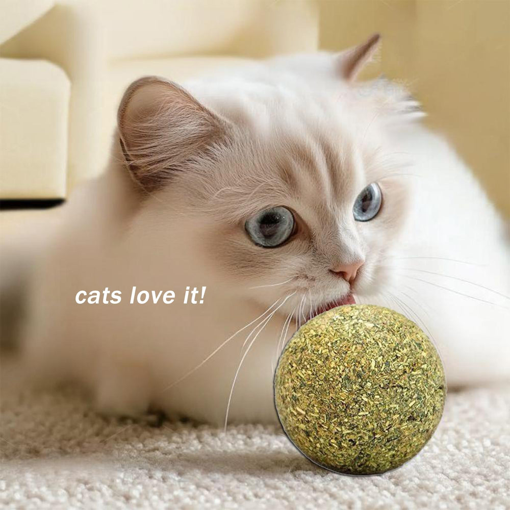 Happylain arôme catnip aromatique: parfum naturel qui attire les chats.
