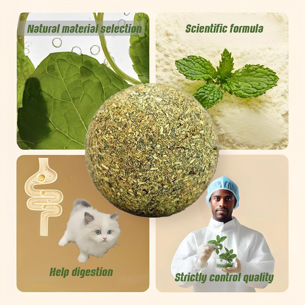 Happylain lien-humain-chat-catnip: favorise l’interaction et le lien.