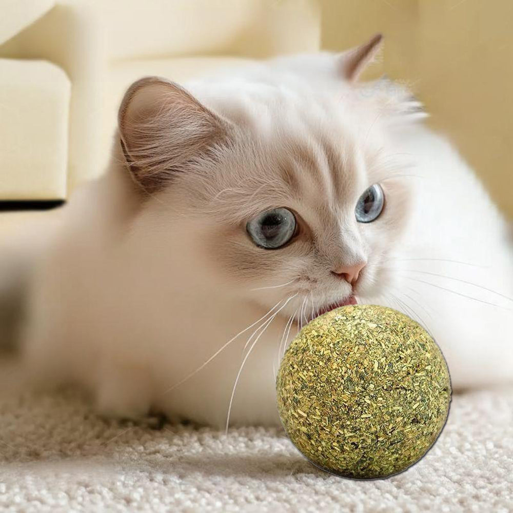Happylain stimulation-physique-catnip-interieur: encourage le mouvement et le jeu.
