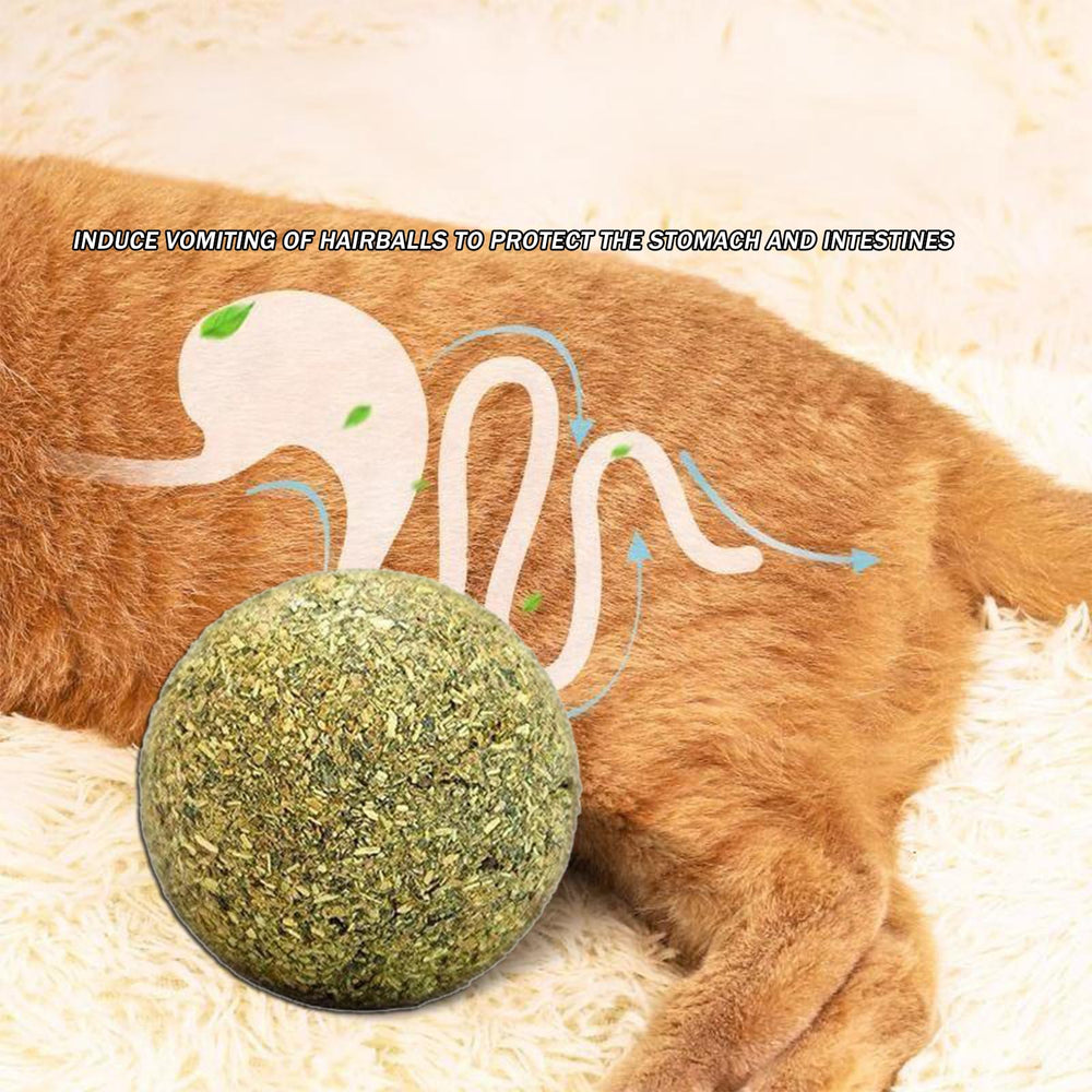 Happylain usage-simple-catnip: activation facile pour sessions de jeu.