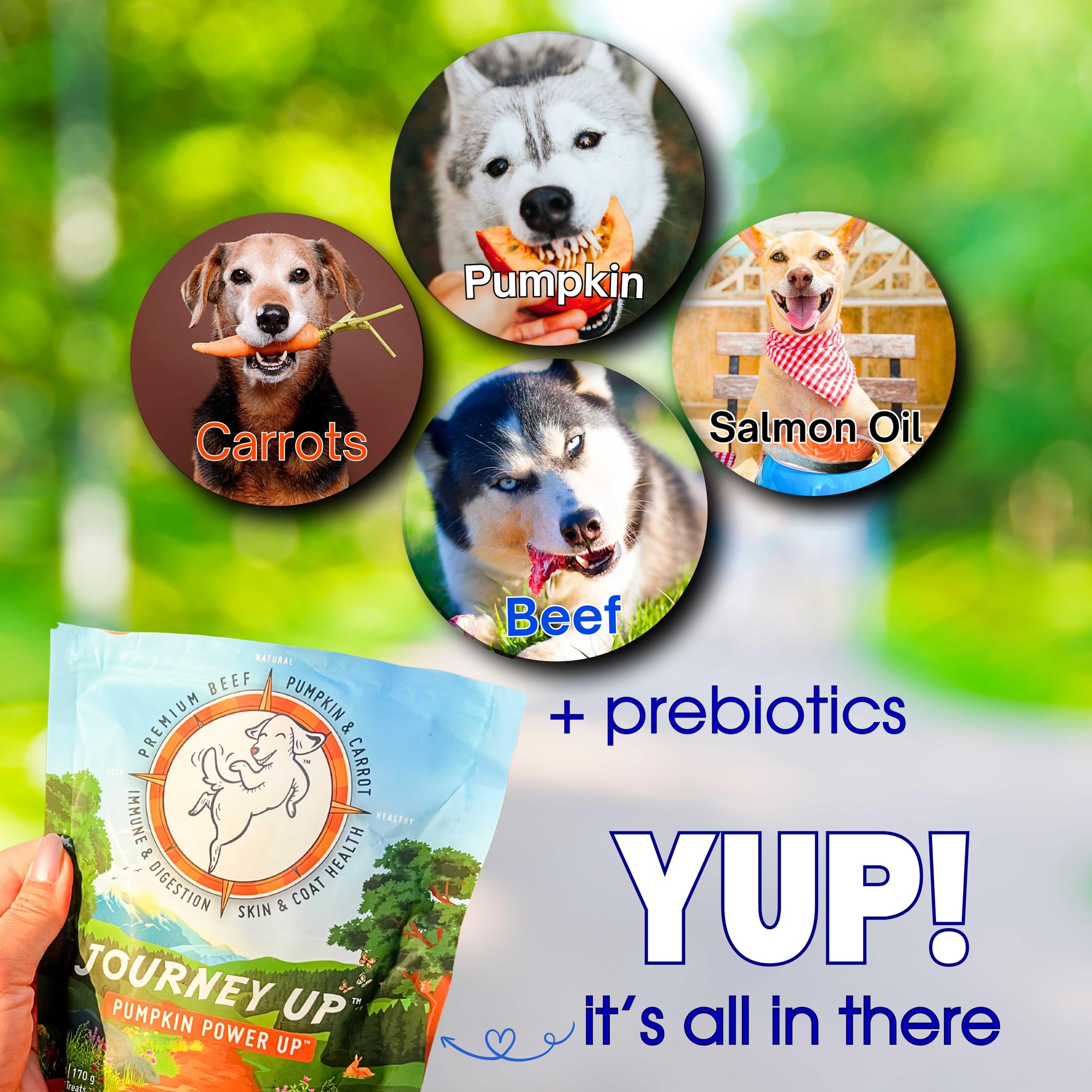 HappyTails Journey Up oméga-3 et 6 pour peau saine et pelage brillant