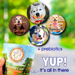 HappyTails Journey Up oméga-3 et 6 pour peau saine et pelage brillant