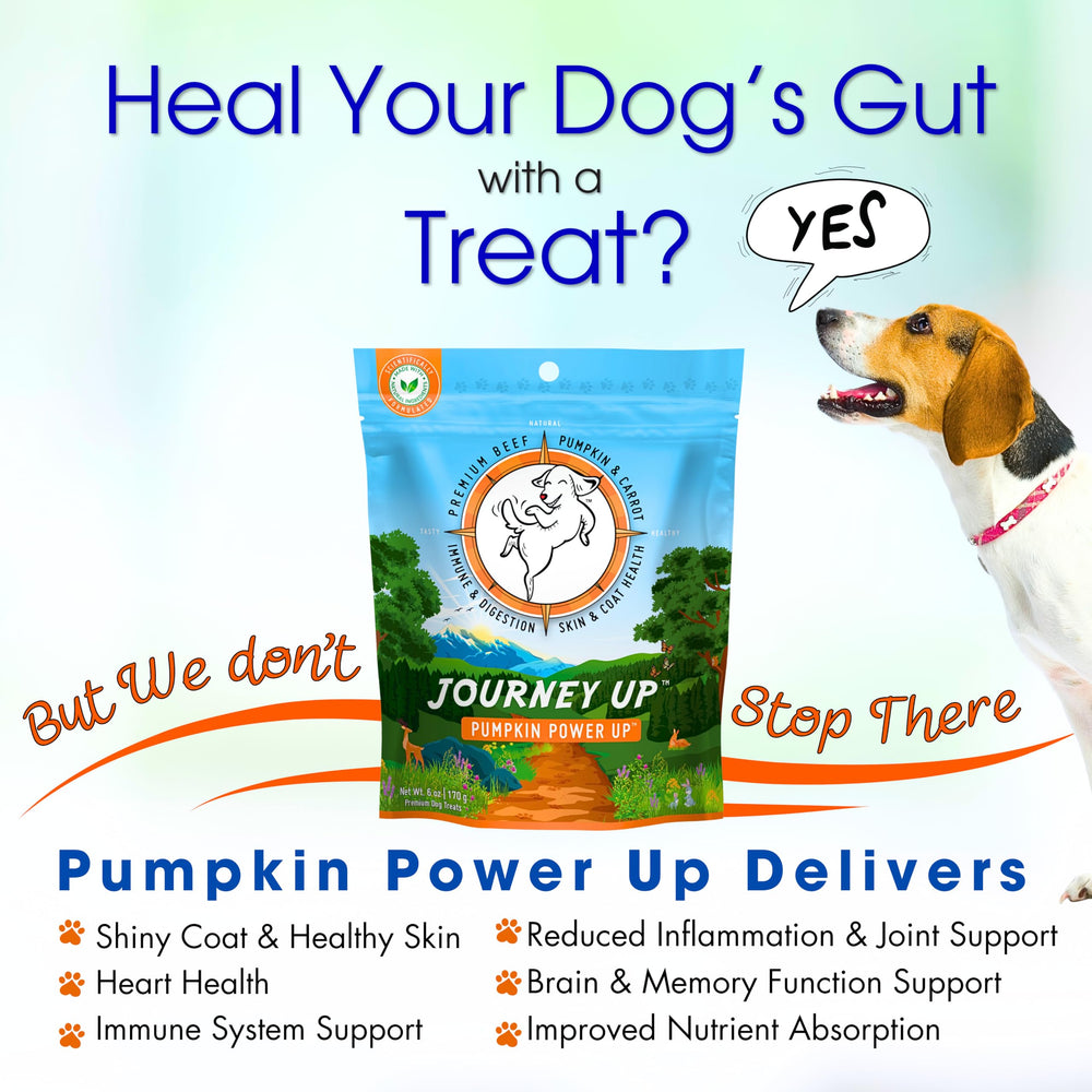 HappyTails Journey Up sans céréales, sans additifs pour chiens sensibles