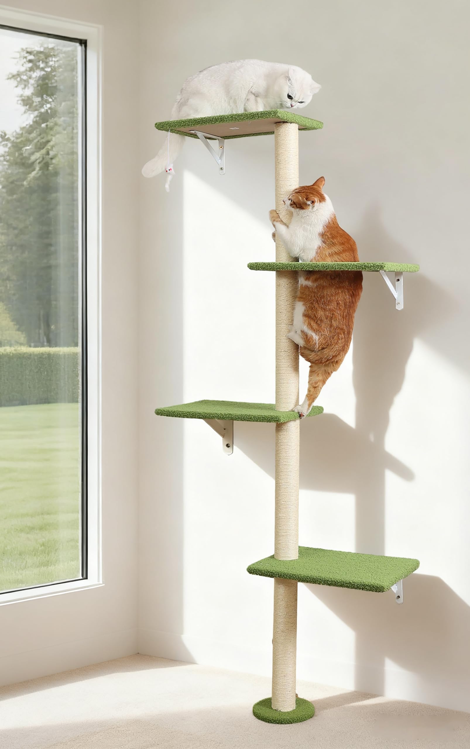 HAPYKITYS Arbre Chat Mural vert, hauteur élevée pour observation et grimpe en intérieur.