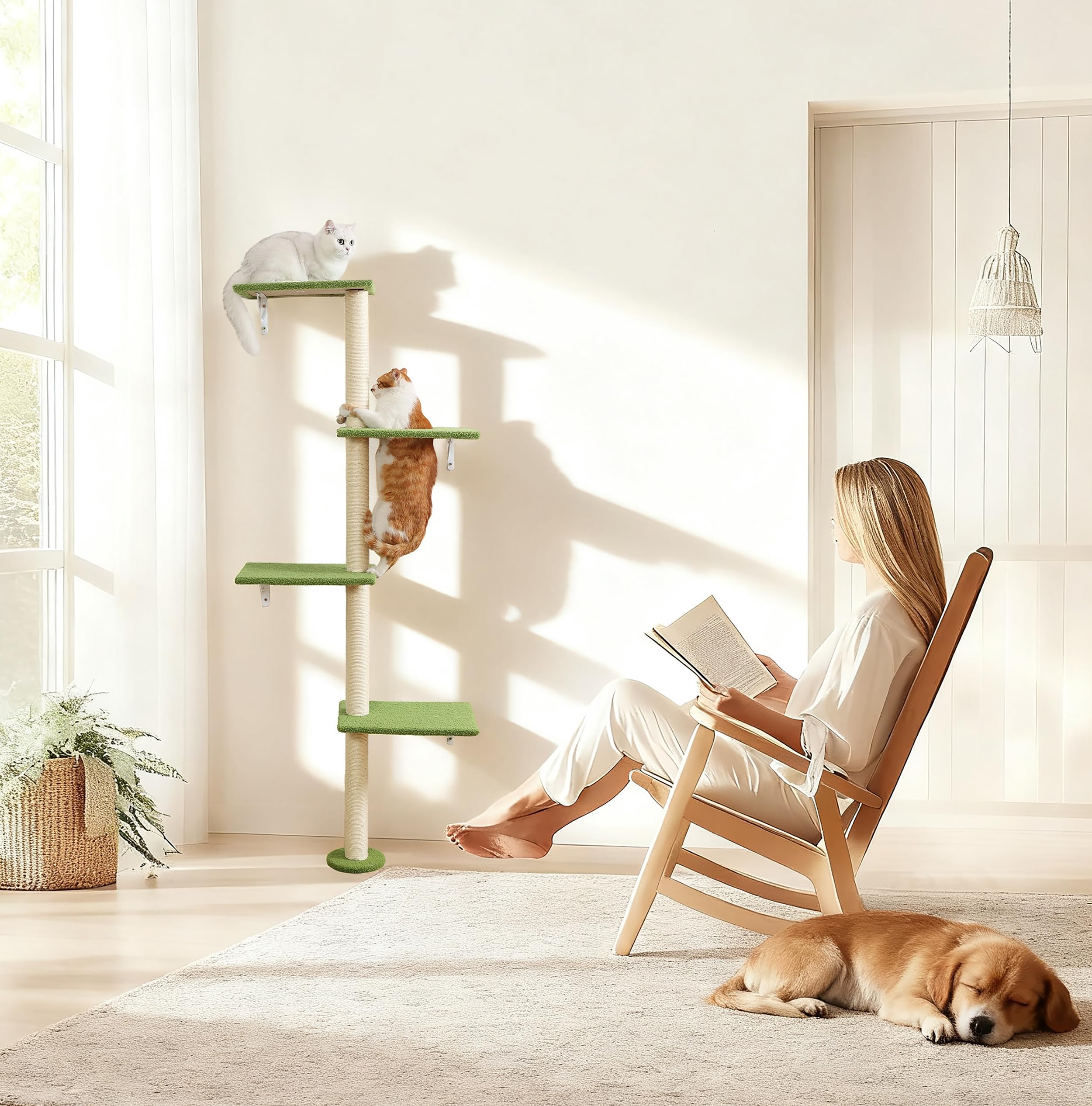 Poteaux en sisal sur quatre niveaux offrant griffage, étirement et repos variés.