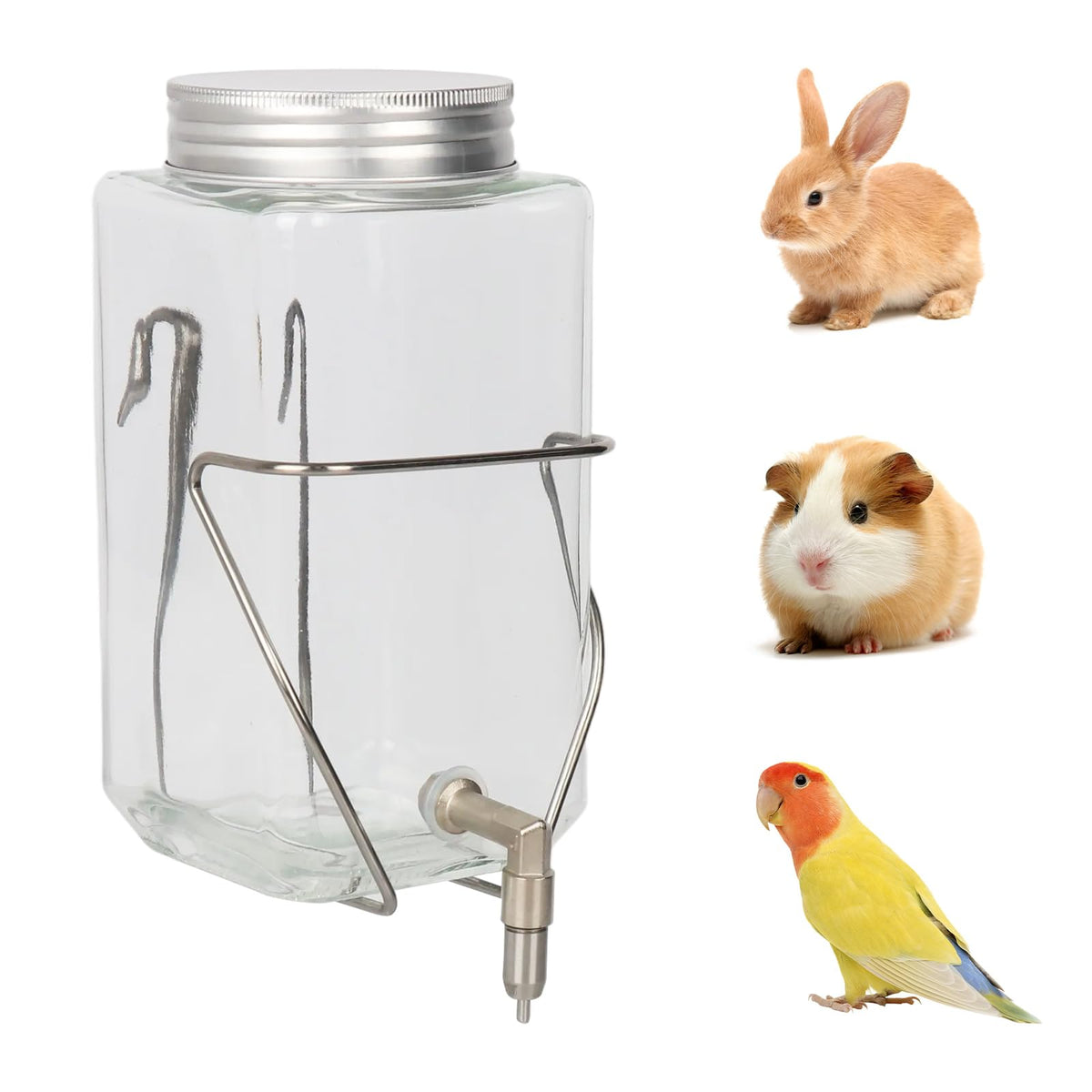 HardcorePet bouteille eau lapin : bocal transparent facilitant le contrôle de l'eau.