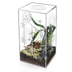 Harhana enclos tarantule: vue avant, espace généreux pour l'exploration.